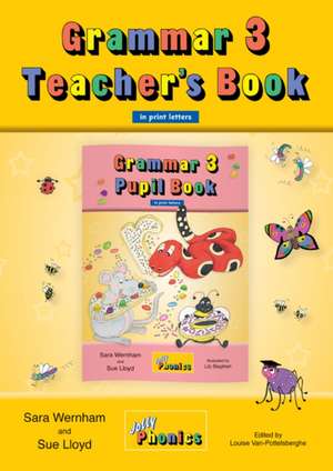 Grammar 3 Teacher's Book de Sara Wernham