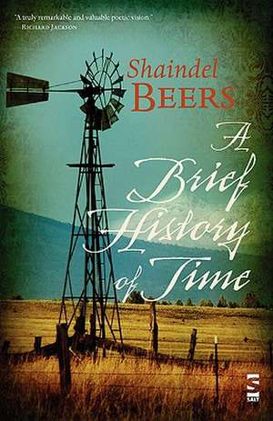 A Brief History of Time de Shaindel Beers