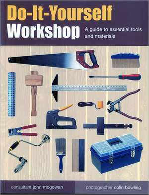 Do-It-Yourself Workshop de John McGowan