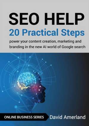 SEO Help de David Amerland