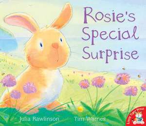 Rawlinson, J: Rosie's Special Surprise de Julia Rawlinson