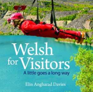 Compact Wales: Welsh for Visitors - A Little Goes a Long Way de Elin Angharad Davies