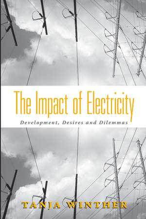 The Impact of Electricity: Development, Desires and Dilemmas de Tanja Winther