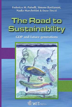 The Road to Sustainability de Federico M Pulselli