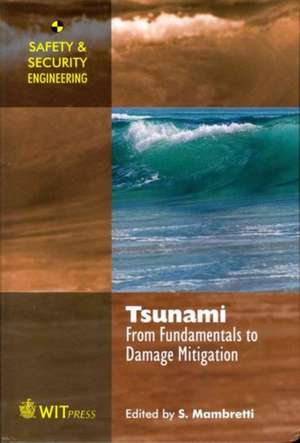 Tsunami de S. Mambretti