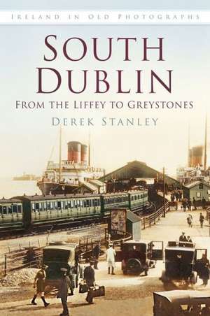 South Dublin de Derek Stanley