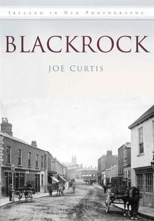 Blackrock de Joe Curtis