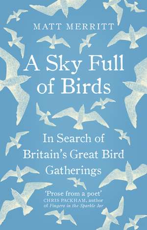 A Sky Full of Birds de Matt Merritt