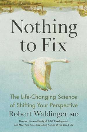 Nothing to Fix de Robert Waldinger