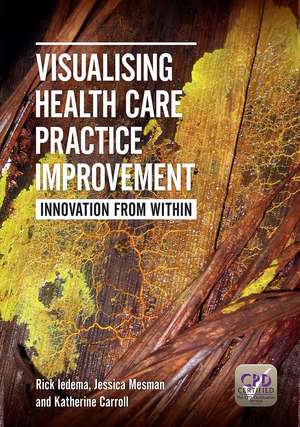 Visualising Health Care Practice Improvement: Innovation from Within de Rick Iedema