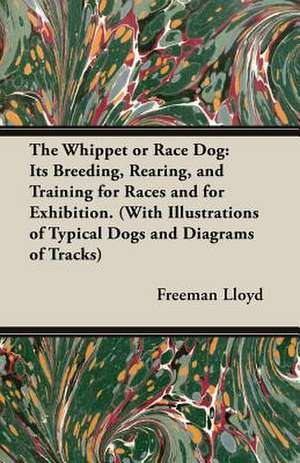 The Whippet or Race Dog de Freeman Lloyd