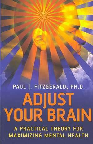 Adjust Your Brain – A Practical Theory for Maximising Mental Health de Paul Fitzgerald