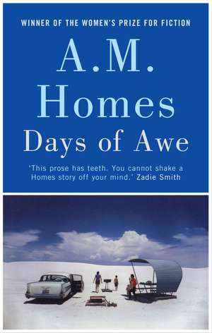 Days of Awe de A. M. Homes