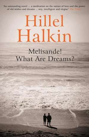 Melisande! What Are Dreams?: A Biography of the Ordnance Survey de Hillel Halkin