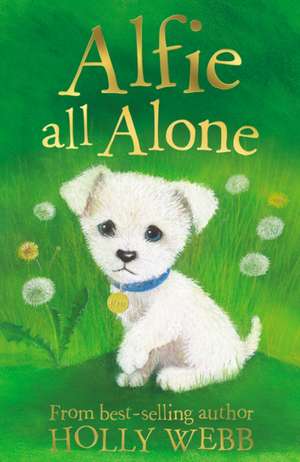 Alfie All Alone de Holly Webb