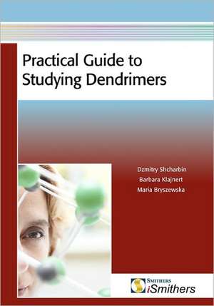 Practical Guide to Studying Dendrimers de Dzmitry Shcharbin