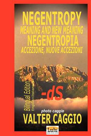 Negentropy Meaning and New Meaning Negentropia Accezione, Nuove Accezioni de Valter Caggio