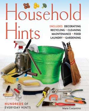 Costantino, M: Household Hints de Maria Costantino