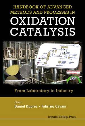 Handbook of Advanced Methods and Processes in Oxidation Catalysis de Daniel Duprez