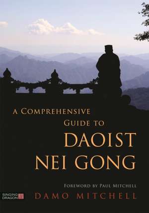 A Comprehensive Guide to Daoist Nei Gong de Damo Mitchell