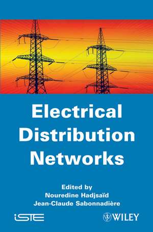 Electrical Distribution Networks de Hadjsaïd