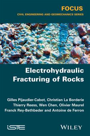 Electro–hydraulic Fracturing of Rocks de G Pijaudier–Cabot