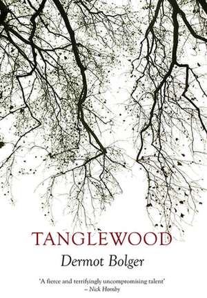 Tanglewood de Dermot Bolger