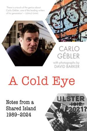 A Cold Eye de Carlo Gébler