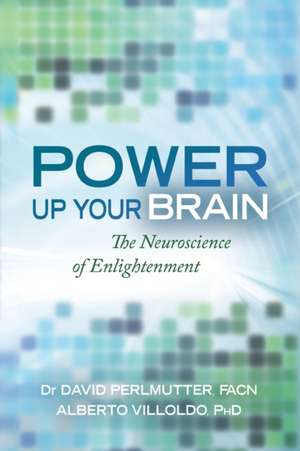 Power Up Your Brain de Alberto Villodo