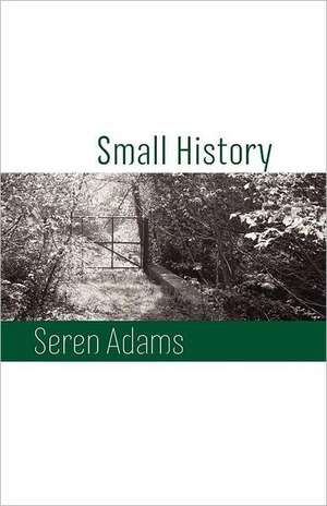 Small History de Seren Adams