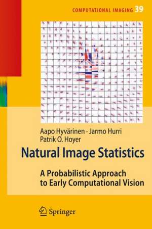 Natural Image Statistics: A Probabilistic Approach to Early Computational Vision. de Aapo Hyvärinen