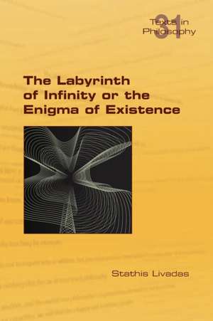 The Labyrinth of Infinity or the Enigma of Existence de Stathis Livadas