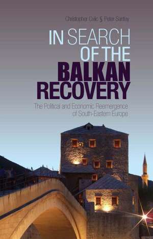 In Search of the Balkan Recovery de Christopher Cviic