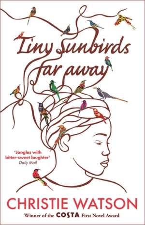 Tiny Sunbirds Far Away de Christie Watson