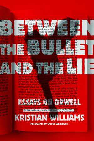 Between the Bullet and the Lie: Essays on Orwell de Kristian Williams