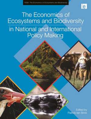 The Economics of Ecosystems and Biodiversity in National and International Policy Making de Patrick ten Brink