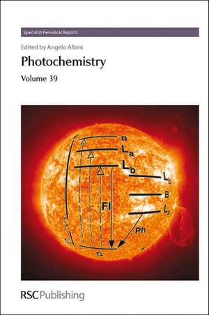 Photochemistry: Volume 39 de Rui Fausto