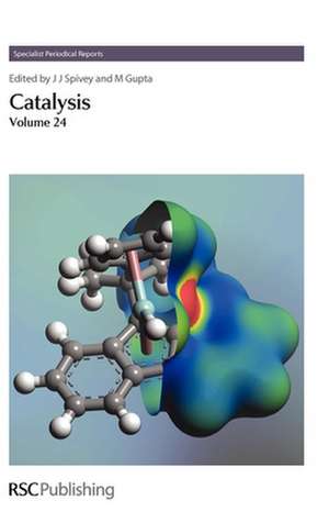 Catalysis de Kiyotaka Asakura