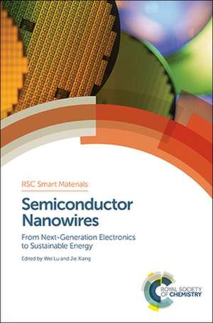 Semiconductor Nanowires: From Next-Generation Electronics to Sustainable Energy de Wei Lu