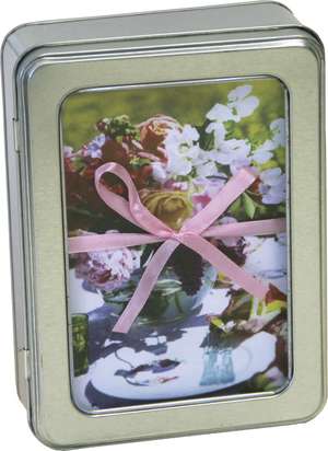 Selina Lake Outdoor Living Notecards in Tin de Ryland Peters & Small