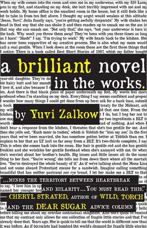 Brilliant Novel in the Works de Yuvi Zalkow