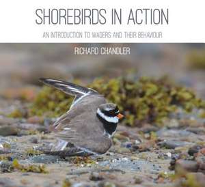 Shorebirds in Action de Richard Chandler