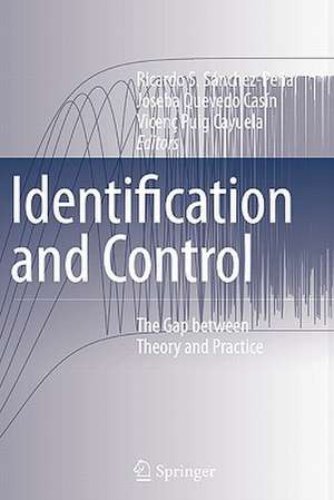 Identification and Control: The Gap between Theory and Practice de Ricardo S. Sánchez-Peña