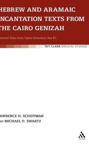 Hebrew and Aramaic Incantation Texts from the Cairo Genizah de Lawrence Schiffmann