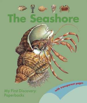 Seashore de Pierre De Hugo