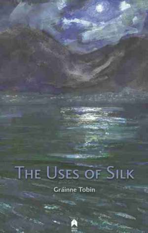 The Uses of Silk de Grainne Tobin