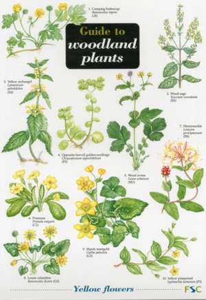 Guide to Woodland Plants de Richard Gulliver