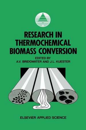 Research in Thermochemical Biomass Conversion de A.V. Bridgwater