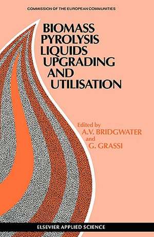 Biomass Pyrolysis Liquids Upgrading and Utilization de A.V. Bridgwater