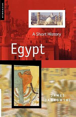 Egypt: A Short History de James Jankowski